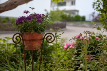 mantenimiento en jardines